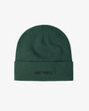 Arc'teryx Word Toque Eden Green
