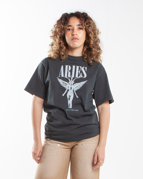 Aries-Arise-Destroyed-Nirvana-