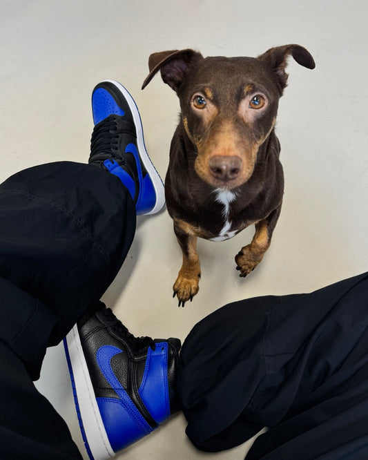 Jordan
