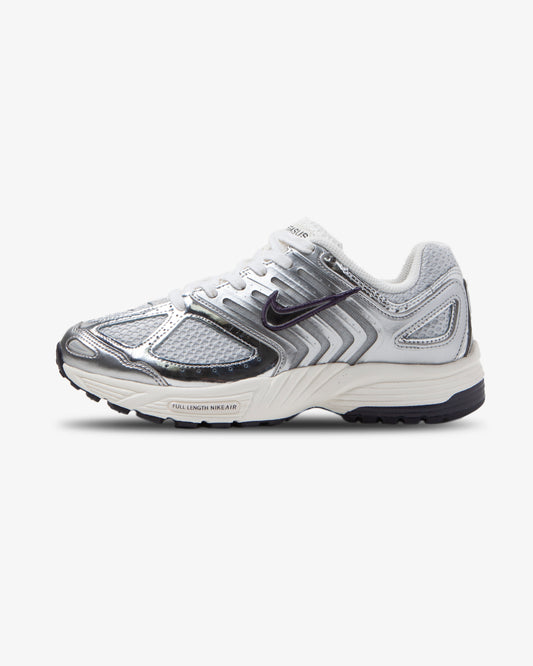 Nike Air Pegasus 2005 Photon Dust Chrome Gridiron